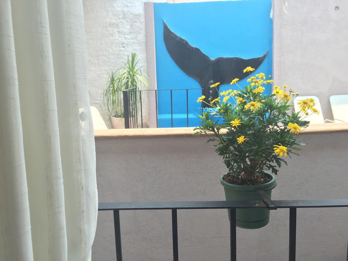 Suites Colibri San Miguel de Allende Zewnętrze zdjęcie